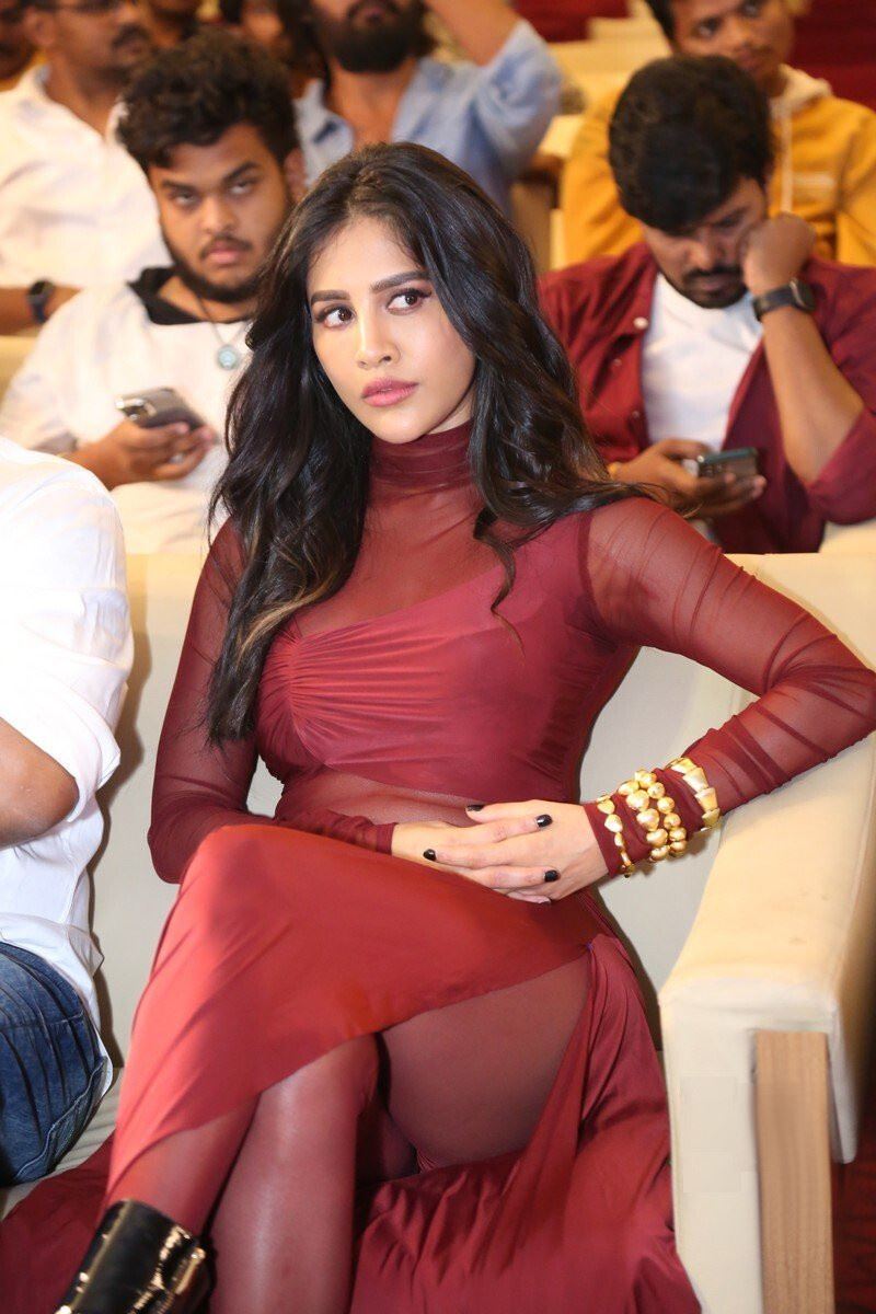 Telugu Actress Nabha Natesh in Maroon Dress